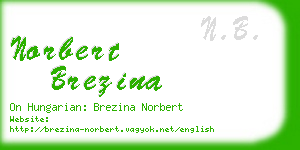 norbert brezina business card